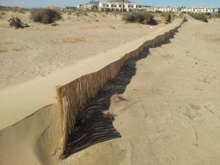 Territori licita la recuperació i protecció de les dunes a les platges de l'Empordà