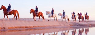 Mor una noia de 33 anys en desbocar-se uns cavalls en una excursió a l'Escala 
