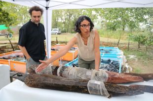 Els primers fusters de Catalunya vivien a la Draga de Banyoles fa 7.300 anys