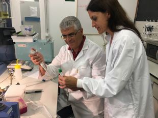 L'atur a Girona se situa al 10,8% el 2018, la taxa més baixa de Catalunya 