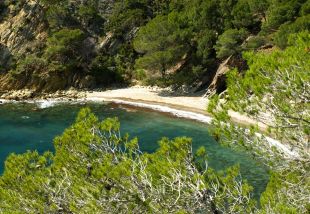Mor un nen de 13 anys en precipitar-se d'un penya-segat a Cala Rustella de Roses