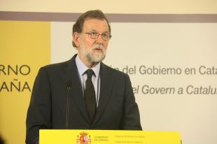 El govern espanyol ''respecta i acata'' la sentència del TEDH sobre la crema de fotos del rei