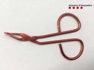 Atrapen dos lladres que empraven pinces quirúrgiques i tallaungles per robar carteres a Lloret