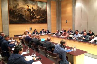 Suport unànime del ple de la Diputació de Girona als alcaldes citats a declarar per l'1-O