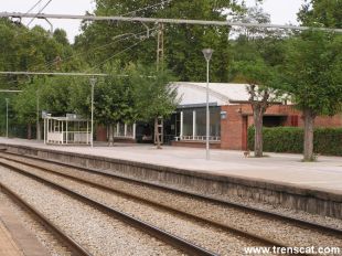 Tallen els trens entre Flaçà i Figueres per la col·locació d'un arbre a la via