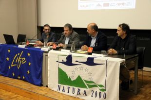 El Govern prioritzarà la lluita contra aquelles espècies invasores agressives com la vespa asiàtica