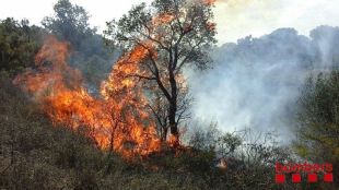 Un incendi agrícola i forestal crema 4,7 hectàrees a Garriguella