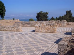 El jaciment d'Empúries s'omple de vida aquesta tardor