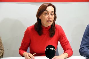 El PSC de Girona demana al govern engegar un servei de mediació ciutadana