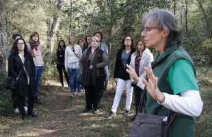 Els boscos gironins, una font sensorial per a connectar amb la natura