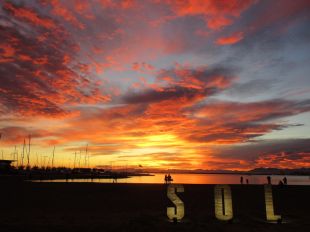 Suu, cap de cartell del Festivalet de Roses 2022