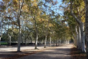 L'Ajuntament de Girona atura el Pla Especial de la Devesa indefinidament
