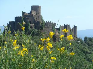 Bones expectatives de visitants al castell de Montsoriu per la Setmana Santa