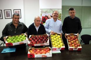Es manté per tercer any la pujada salarial al sector de la fruita i la verdura