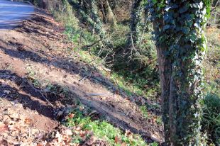 Mor una jove de 19 anys en xocar contra un arbre a Anglès