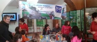 El 25è Festival de les aus omple d'activitats el Parc Natural dels Aiguamolls de l'Empordà