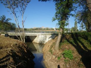 Netegen un tram de la llera del riu Ter a Girona per evitar inundacions i treure espècies invasores