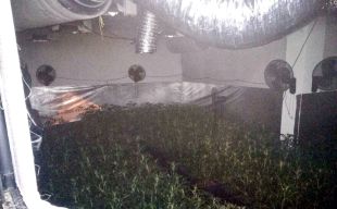 S'incendia una casa a Llagostera i troben 2.600 plantes de marihuana a dins