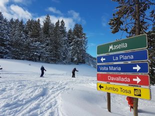 Mor un esquiador en xocar contra un arbre a la Masella