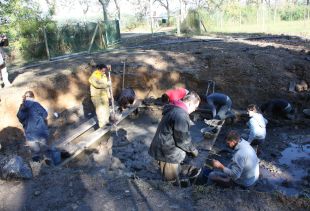 Troben un centenar d'objectes de fusta al jaciment neolític de la Draga de Banyoles