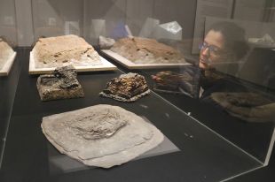 Olot exposa la ceràmica japonesa contemporània més important de l'Estat