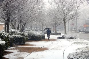 ''No ens pensàvem que pogués nevar tant a Maçanet''