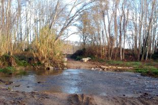 L'ACA cerca recuperar el comportament natural de les zones inundables del Ter, Muga i Tordera