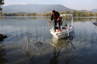 Capturen peixos a l'estany de Banyoles per reduir l'elevada presència d'espècies invasores