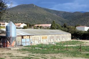 Denuncien l'Ajuntament de Cantallops per mantenir oberta una granja suposadament il·legal