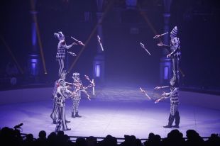 La CUP de Girona denuncia tracte de favor als promotors del Festival Internacional del Circ