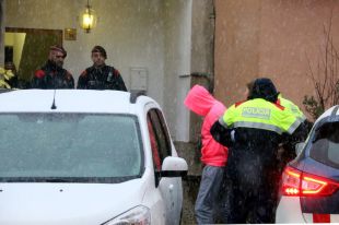 Llibertat provisional per al fill del sospitós del doble crim de Susqueda