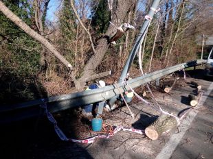 El vent fa caure un arbre i talla l'N-141 a Anglès