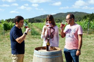 La DO Empordà recull al seu web fins a 360 vins que es poden comprar online