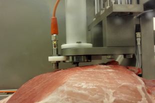 Creen una sonda òptica per controlar la qualitat del pernil durant el procés de producció