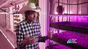 Kimbal Musk, germà del propietari de Tesla Motors, es casa aquest cap de setmana a Empúries
