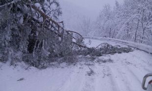 El temporal deixa gairebé 100 litres en 24h i talla la carretera a Toses