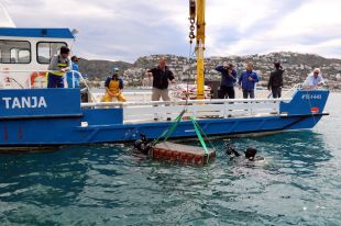 Estudi pioner sobre l'evolució del vi envellit sota el mar a Roses