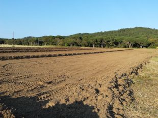 Palamós tanca dissabte els accessos al camí de la cala Estreta