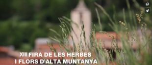 Setcases celebra la Fira d'Herbes amb els menús de la cuina del bosc com a plat fort