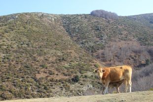 Premiat el projecte d’adaptació al canvi climàtic de la finca Muntanya de Matagalls