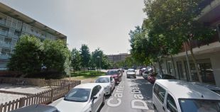 Girona tractarà 117 arbres a l'Eixample Sud per erradicar plagues de psil·la i caparreta