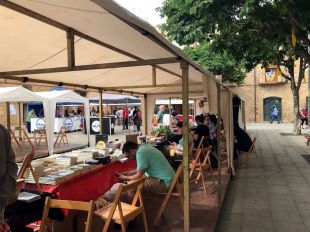 Una vintena d'editorials independents es troben a la 1a Fira Indilletres de La Bisbal