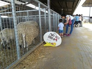 Prop de 850 visitants a les explotacions agràries de la Selva dins el 'Benvinguts a Pagès'
