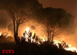 Els Bombers donen per extingit l'incendi forestal de Llançà