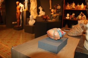 El Museu dels Sants d'Olot mostra la seva part més desconeguda