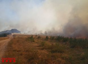 Tres carreteres tallades en un incendi forestal a Vilopriu