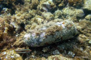 Un grup de submarinistes troben un obús sense detonar a tocar de les Illes Formigues