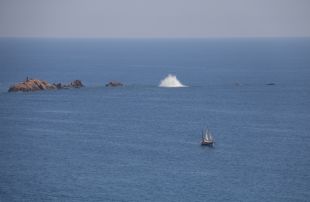 Els artificiers de l'Armada detonen l'obús de les Illes Formigues