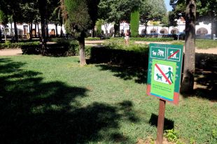 El PSC de Girona proposa crear espais ''dog friendly''