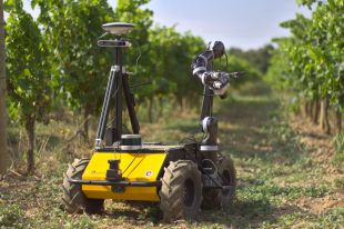 Proven un robot que controla l'estat de salut de la vinya i col·loca dispensadors de feromones